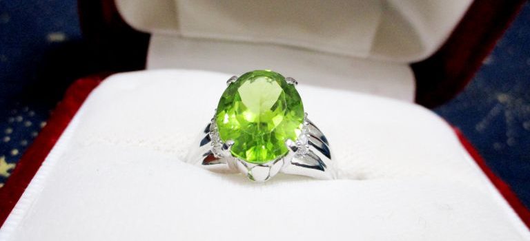 世代を超えて愛されるバーキンその魅力と資産価値に迫る